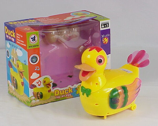 Children egg laying Duck