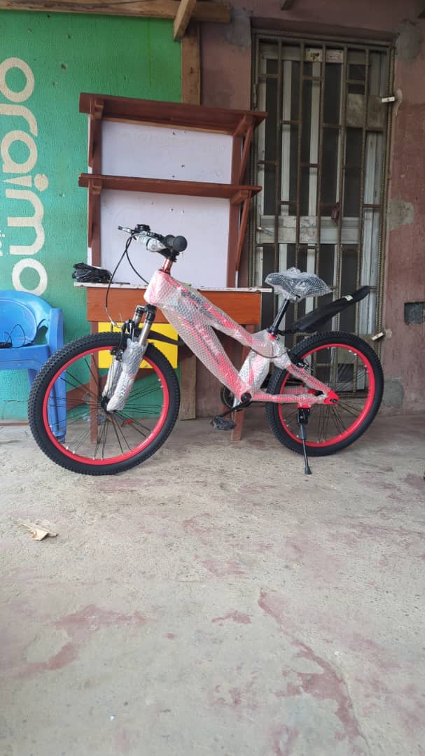 SIZE 22 ADULT BICYCLE