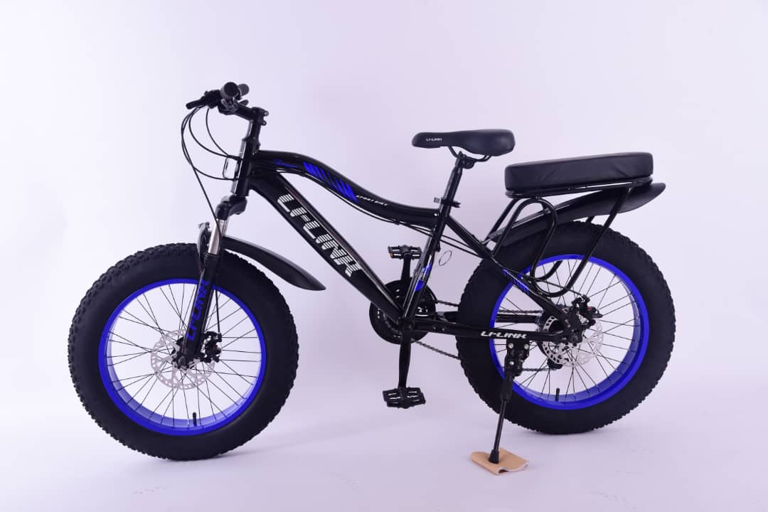 20-Inch Fat Tire Bicycle with Back Seat for Kids