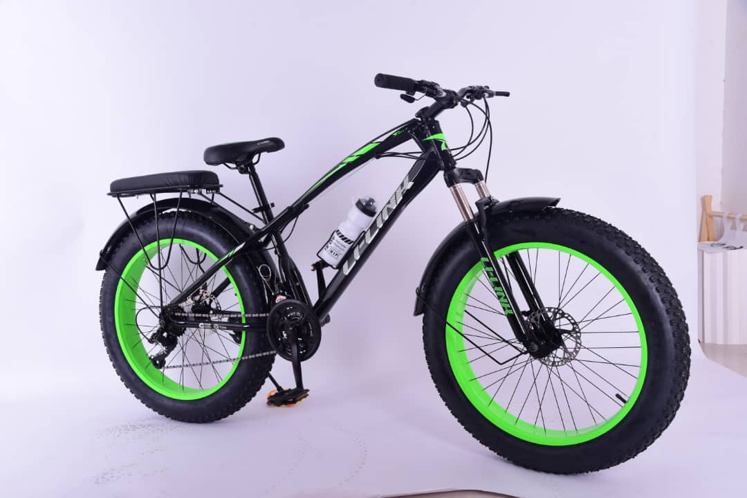 24-Inch Fat Tire Bicycle for Adults-Green
