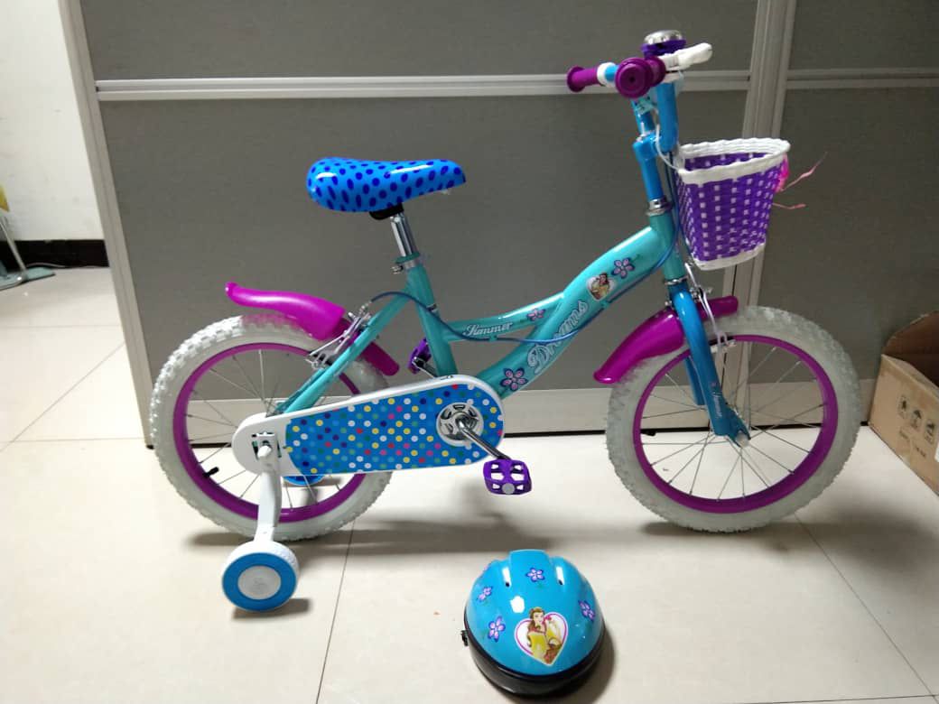 Pink Size 16 Children Bicycle (Copy)